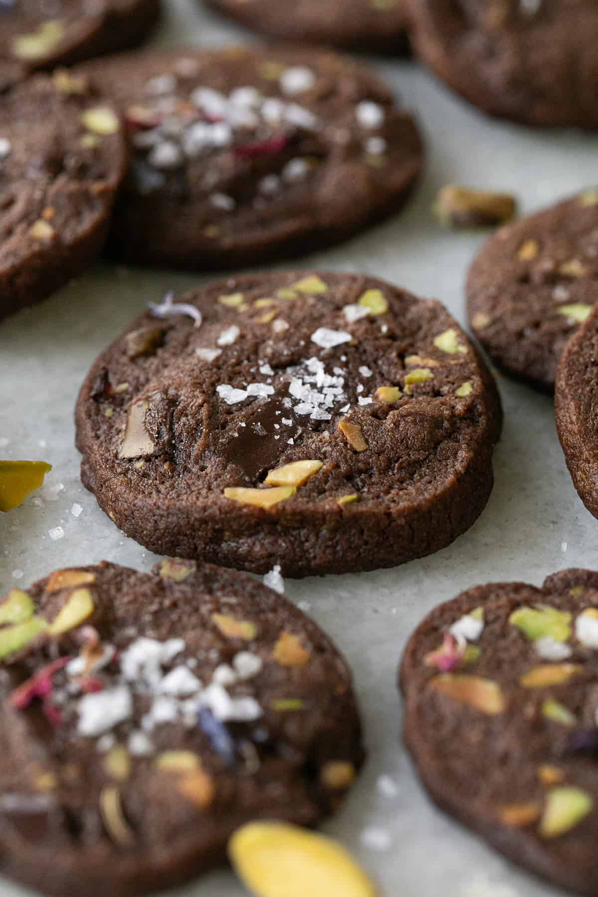 Chocolate sable cookies with pistachios. 