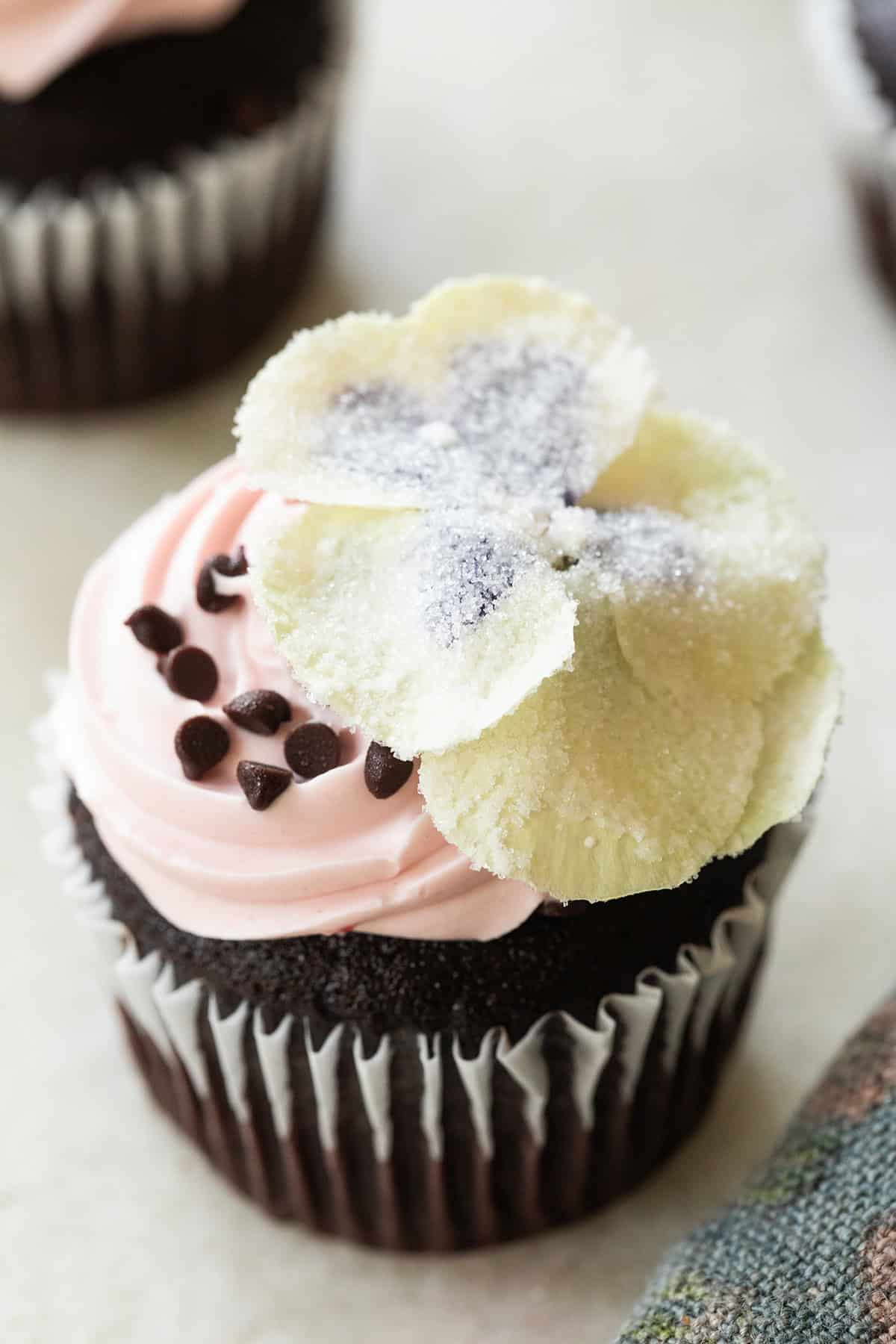 Sugared flower on top of a cupcake. 