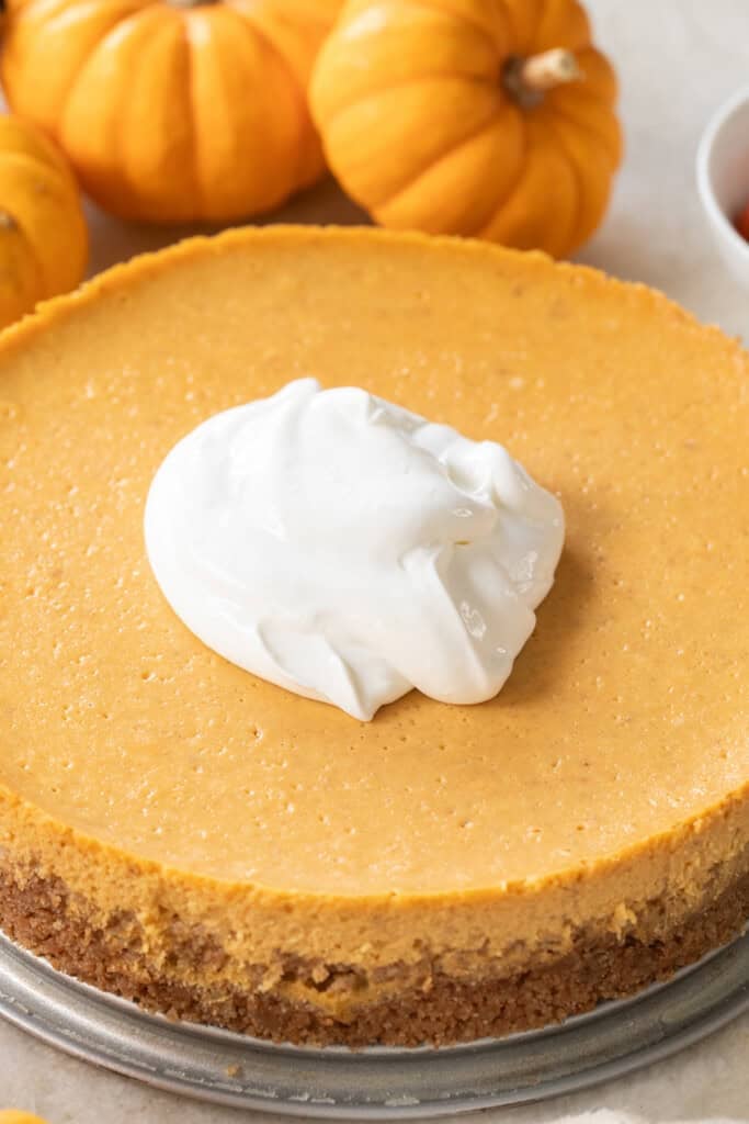 Baked pumpkin cheesecake with sour cream on the top.