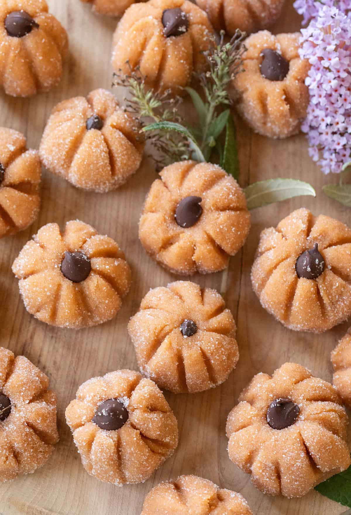 Mini pumpkin cheesecake truffle recipes with mini chocolate chips. 