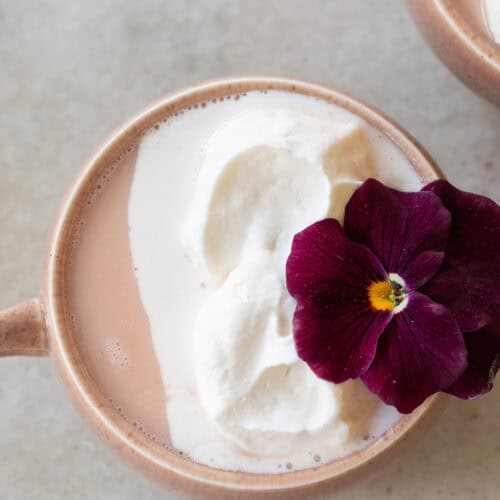 Pink hot chocolate with whipped cream, edible flower in a pink mug.