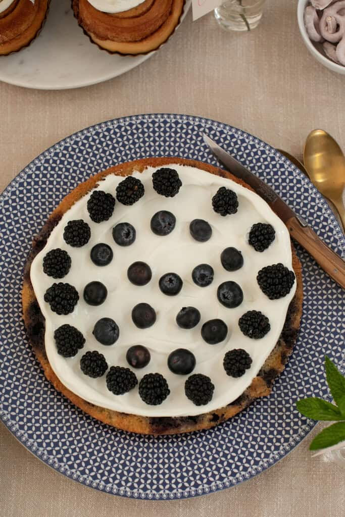 Blueberry snacking cake. 