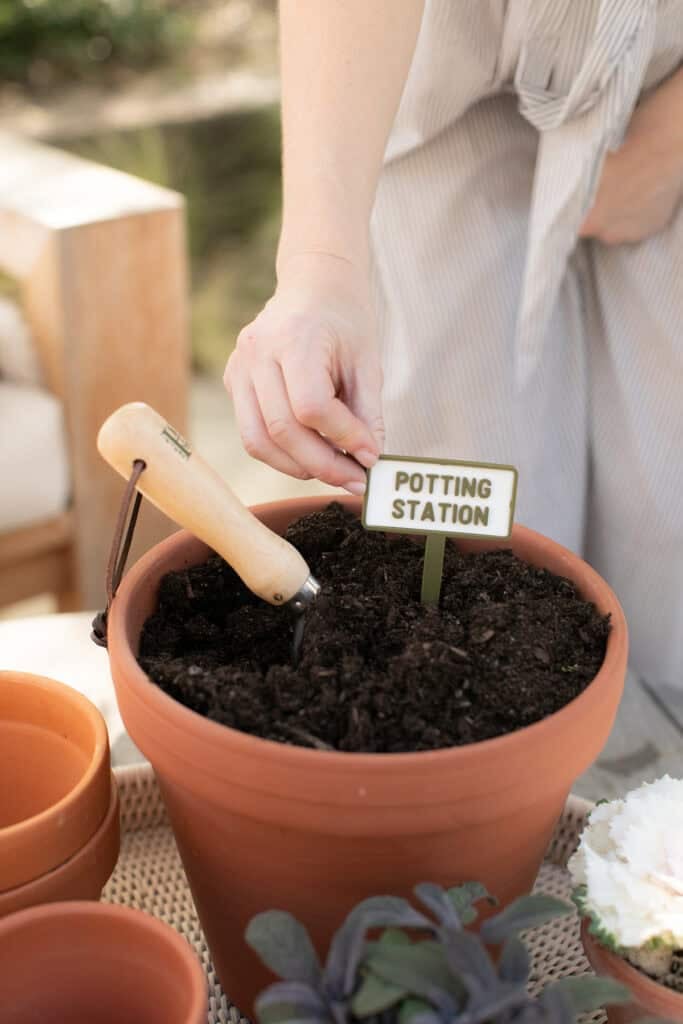 Potting spring flowers at a party.