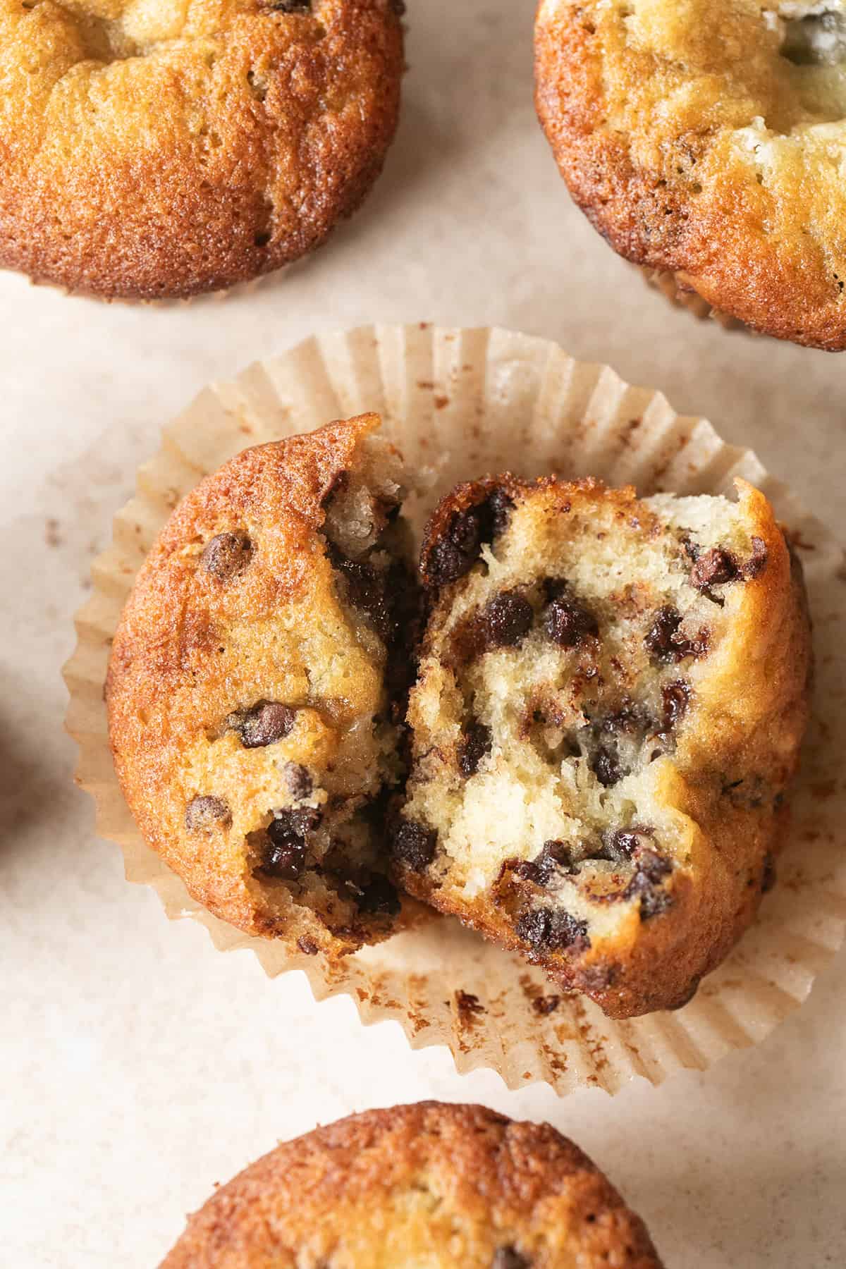 Moist banana chocolate chip muffins with mini chocolate chips on top.