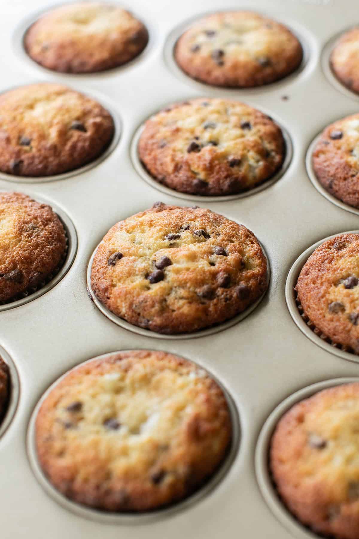 Freshly baked banana chocolate chip muffins in a 12-cup muffin pan.