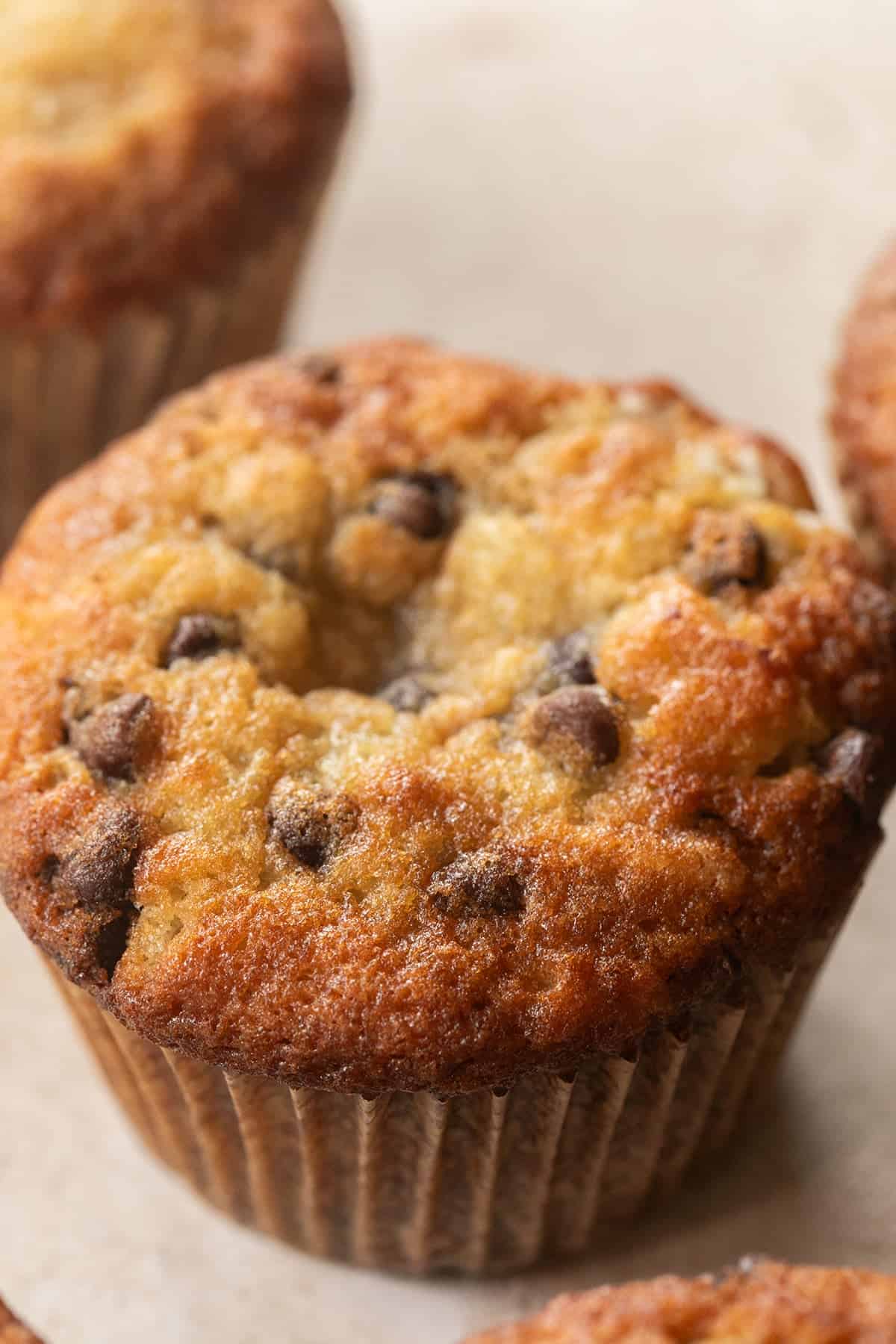 Warm and super moist banana chocolate chip muffin.